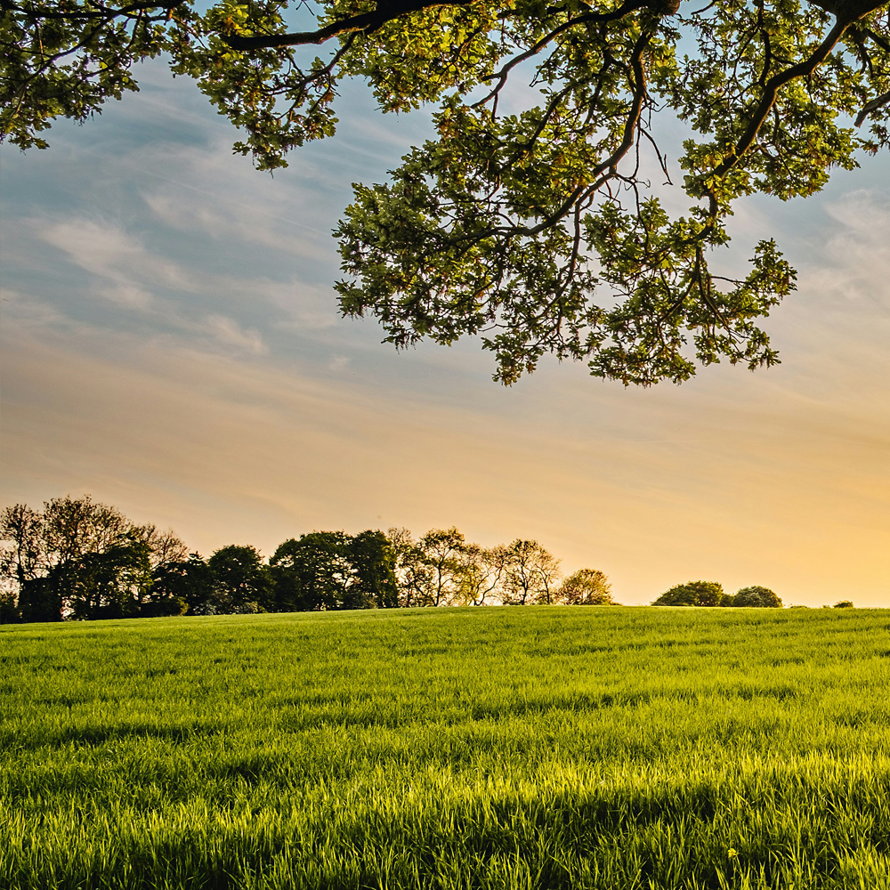 Umgebung Design am Inn - Designagentur Mühldorf