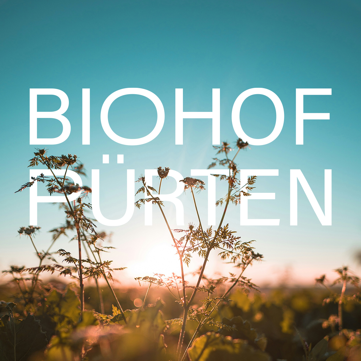 Biohof Pürten Logodesign . Design am Inn - Designagentur Mühldorf