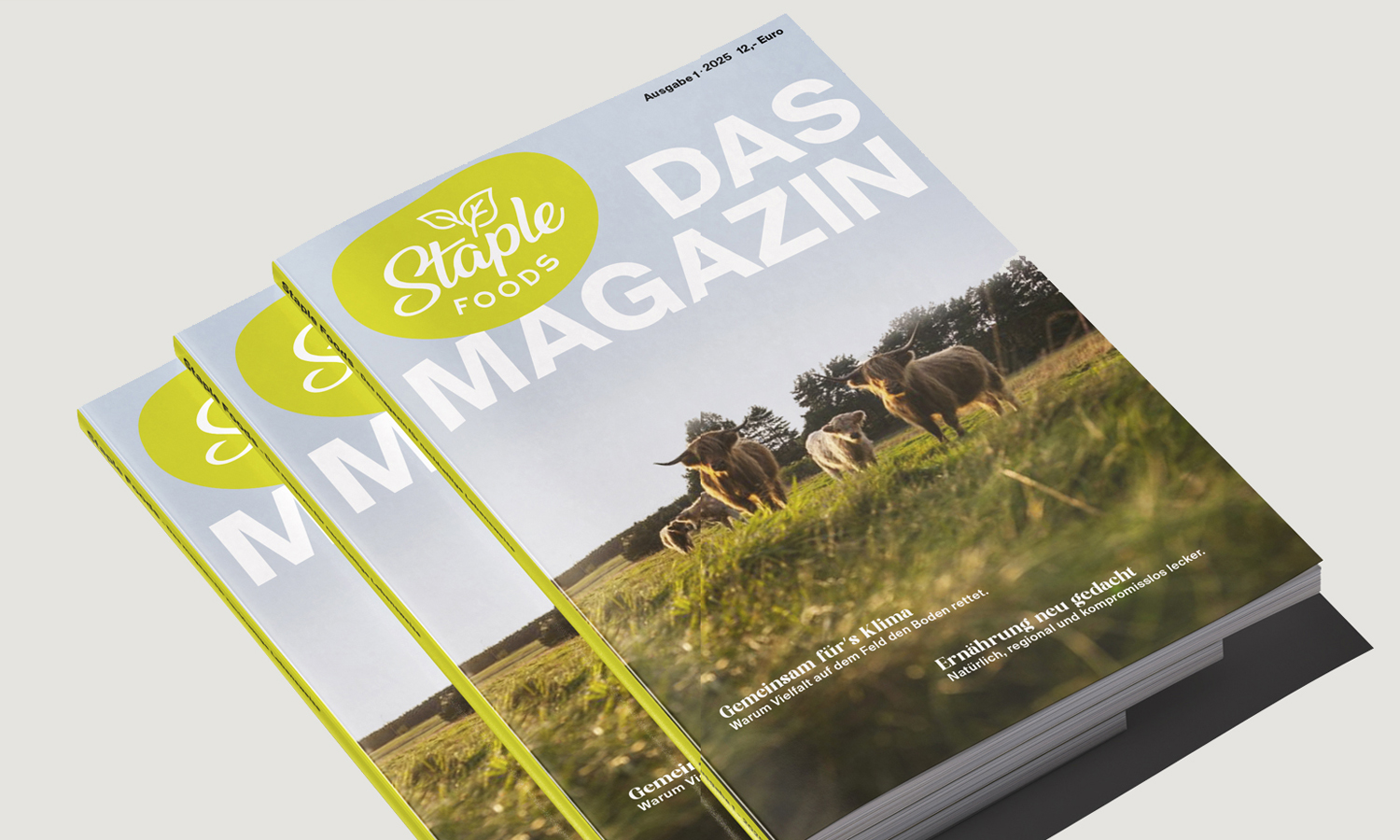 Zeitschriftendesign Design am Inn – Mühldorf, Rosenheim, Wasserburg